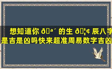 想知道你 🪴 的生 🦢 辰八字是吉是凶吗快来超准周易数字吉凶查询！